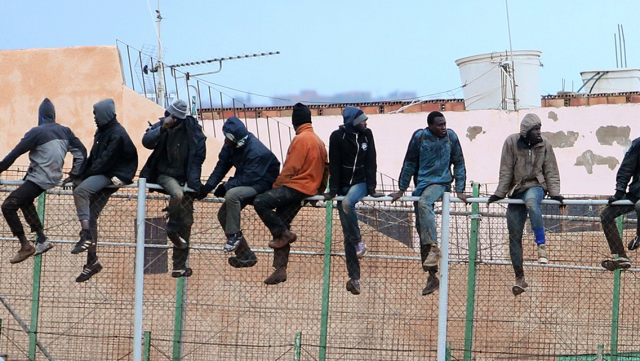 migrants migrants