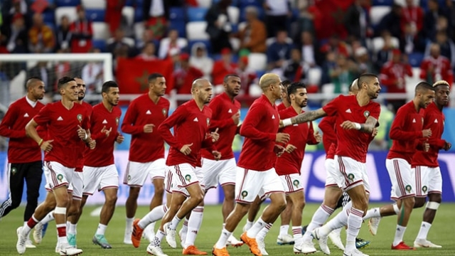 Lions Lions