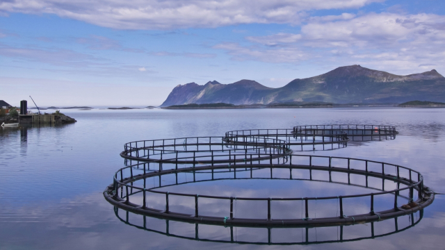 aquaculture aquaculture