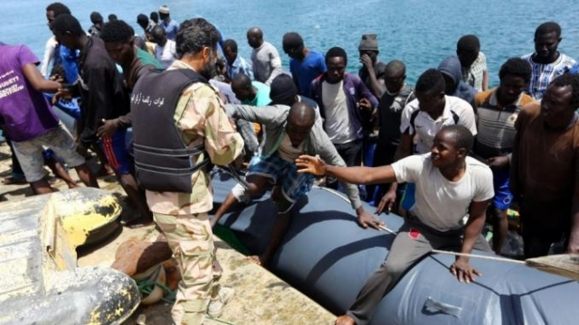 migrants migrants