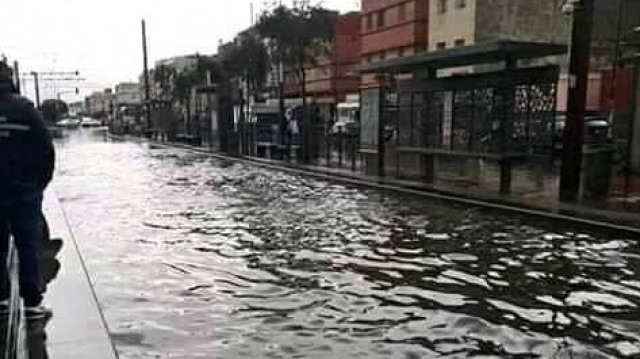 tram tram