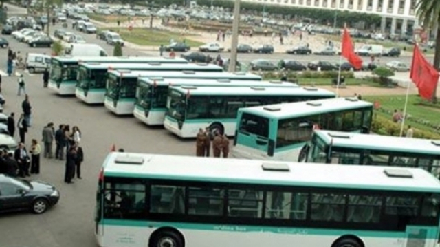 bus bus