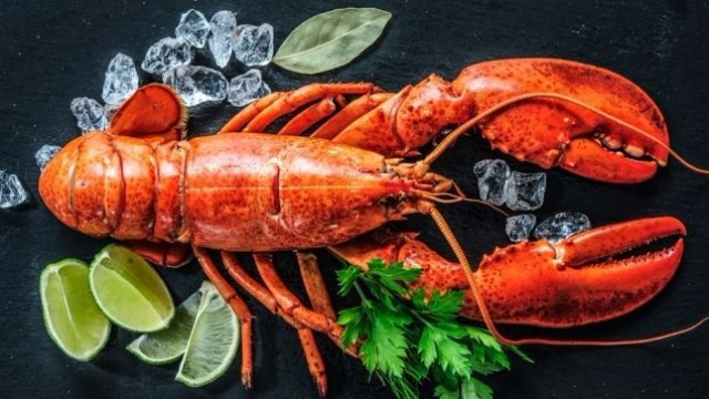 lobster lobster