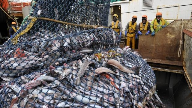 La Toungouse inférieure la pêche de vidéo