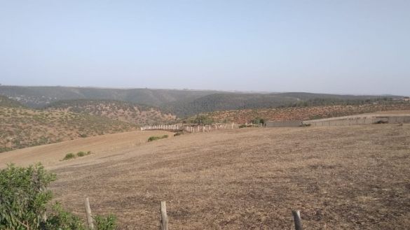 بنسليمان بنسليمان