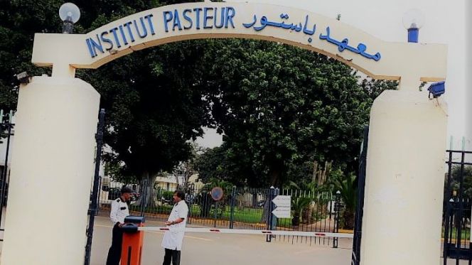 معهد باستور معهد باستور