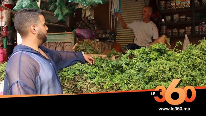 Cover_Vidéo: Le360.ma •روبورتاج: هل سيتخلى المغاربة عن النعناع بعد تحذيرهم من طرف مكتب أونسا؟ Cover_Vidéo: Le360.ma •روبورتاج: هل سيتخلى المغاربة عن النعناع بعد تحذيرهم من طرف مكتب أونسا؟