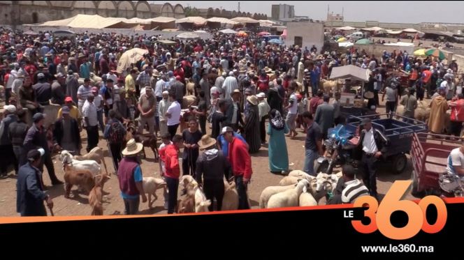 غلاف فيديو - اكتشف أجواء وأسعار بيع الأضاحي بمدينة فاس غلاف فيديو - اكتشف أجواء وأسعار بيع الأضاحي بمدينة فاس