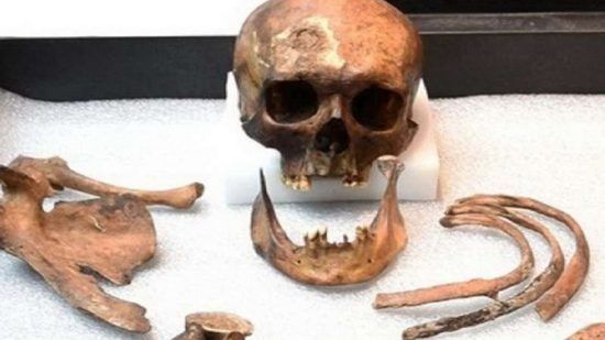 عظام بشرية أثرية عظام بشرية أثرية