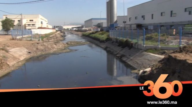 غلاف فيديو - جريمة بيئية من مصانع المنطقة الحرة لطنجة تنسف جمالية شواطئ غلاف فيديو - جريمة بيئية من مصانع المنطقة الحرة لطنجة تنسف جمالية شواطئ