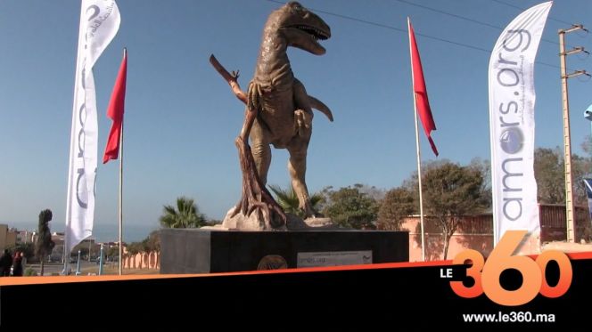 Cover Vidéo - تدشين مُجسَّم ديناصور ضخم بأنزا أكادير لاستقطاب السياح  
