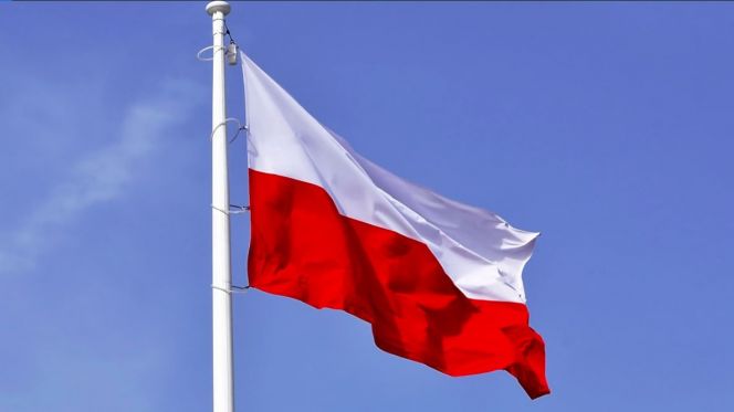 علم بولونيا علم بولونيا