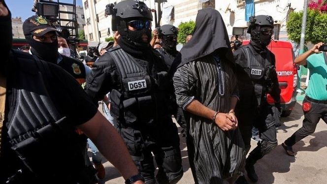 مول التريبورتور مول التريبورتور