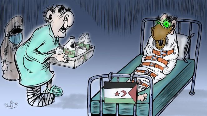 كاريكاتير: المريض تبون "يرعى" دُميته الانفصالية كاريكاتير: المريض تبون "يرعى" دُميته الانفصالية