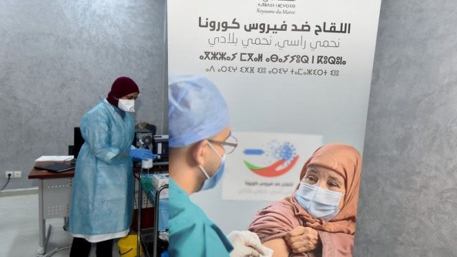 عملية التلقيح بالمغرب عملية التلقيح بالمغرب