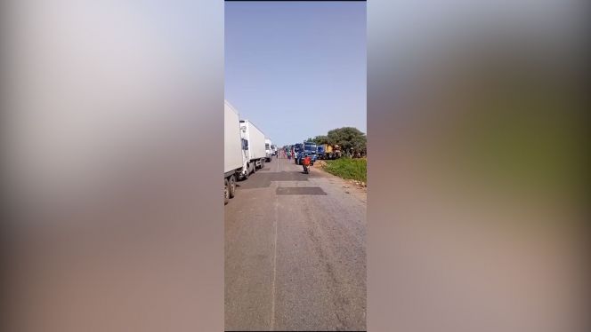 Cover_Vidéo: Camionneurs marocains bloqués au Mali: Coups de feu sur la route vers Bamako Cover_Vidéo: Camionneurs marocains bloqués au Mali: Coups de feu sur la route vers Bamako