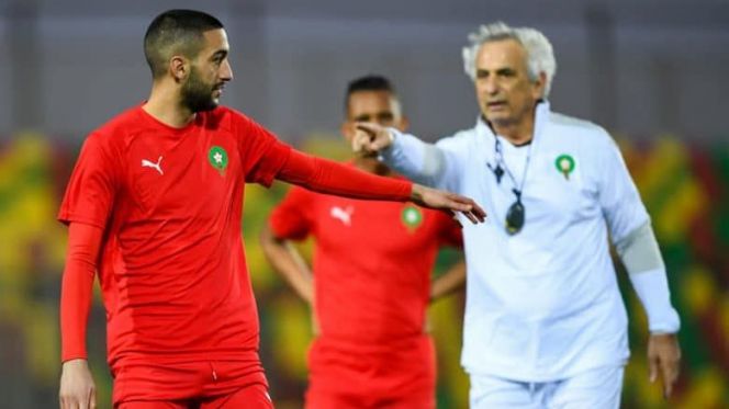 زياش حليلوزيتش زياش حليلوزيتش