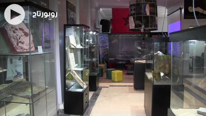 cover vidéo أكادير تتعزز بمتحف يضم آثارا عمرها ملايين السنين cover vidéo أكادير تتعزز بمتحف يضم آثارا عمرها ملايين السنين