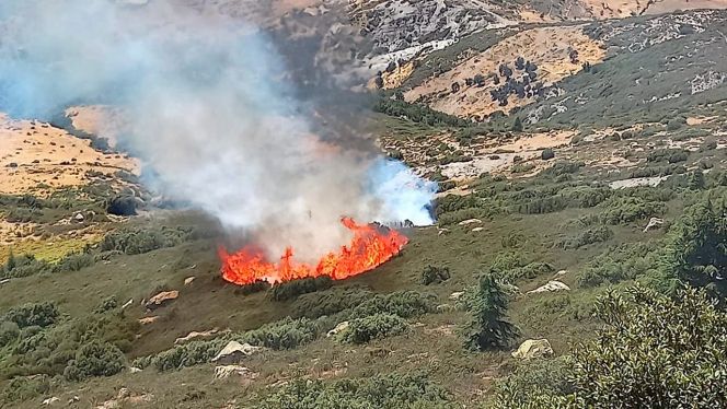 حريق بغابة أغاندرو المحيطة بقمة جبل تدغين، أعلى قمم جبال الريف، التابع لإقليم الحسيمة