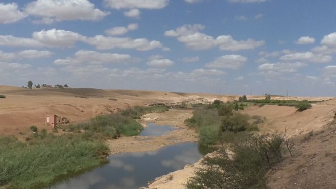 Cover-Vidéo: كارثة.. الجفاف يمحو مجرى وادي أم الربيع