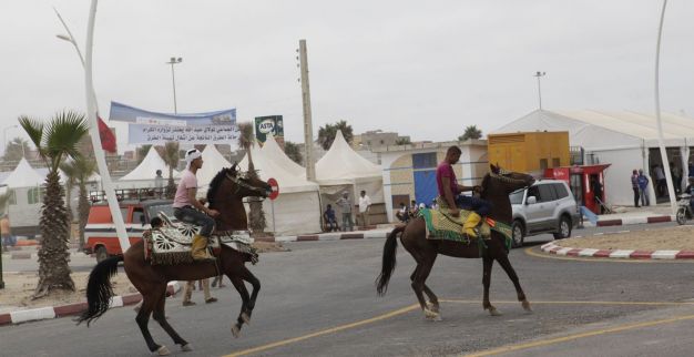 بالصور مولاي عبد الله أمغار موسم بين الصقور والخيول Www Le360 Ma