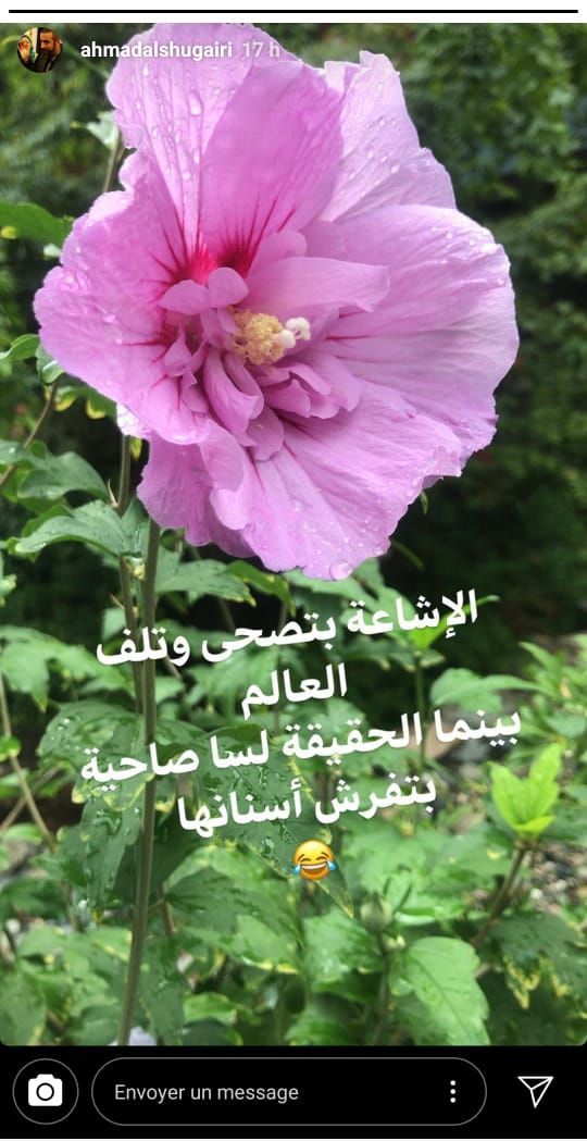 تغريدة الشقيري تغريدة الشقيري