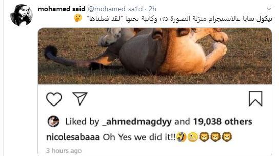 نيكول سابا نيكول سابا
