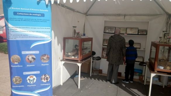 مهرجان العلوم