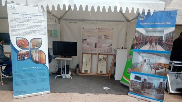 مهرجان العلوم