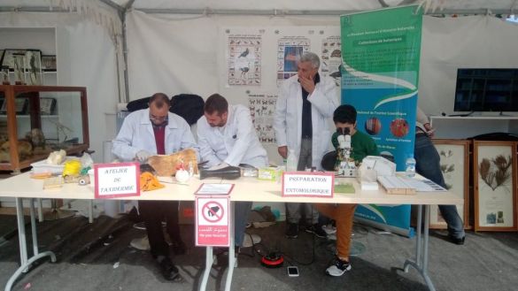 مهرجان العلوم