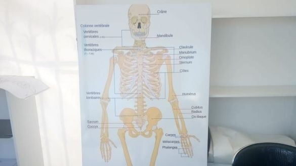 مهرجان العلوم