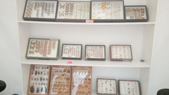 مهرجان العلوم