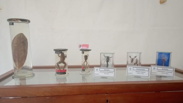 مهرجان العلوم