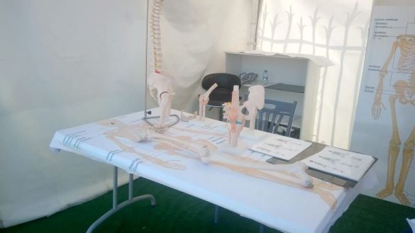 مهرجان العلوم