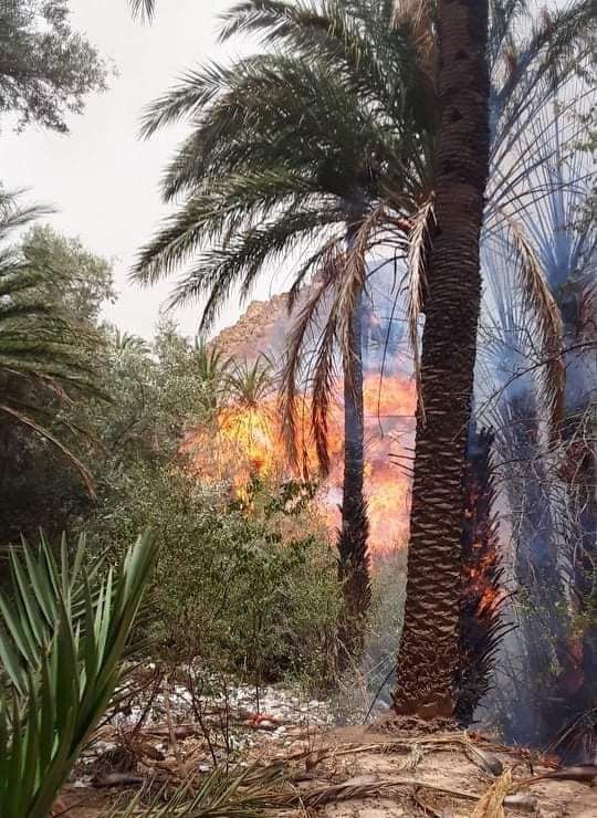 حريق بتافراوت 4 حريق بتافراوت 4