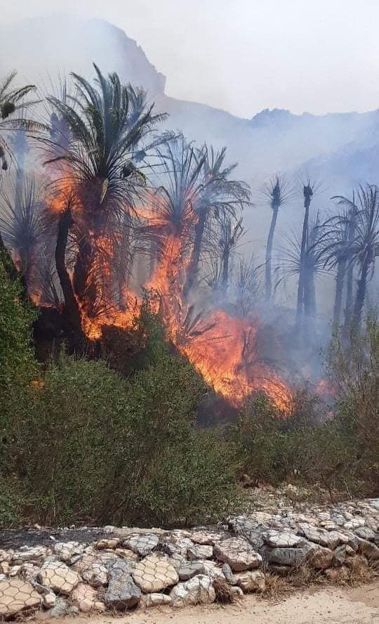 حريق بتافراوت 2 حريق بتافراوت 2
