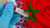 عملية التلقيح بالمغرب