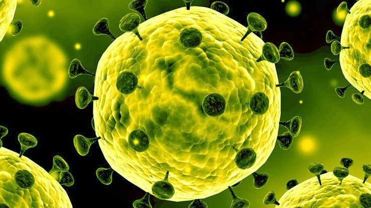 Une illustration du nouveau Coronavirus.