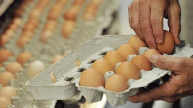 oeufs oeufs