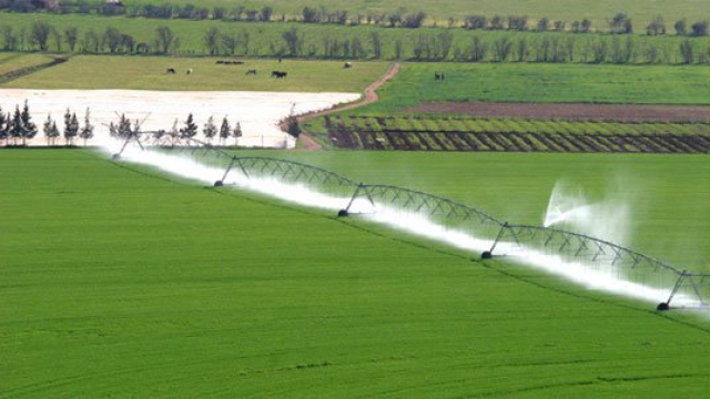 Agriculture Agriculture