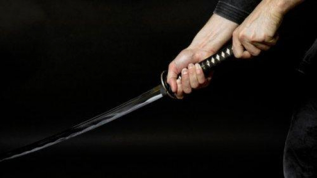 sabre samouraï sabre samouraï