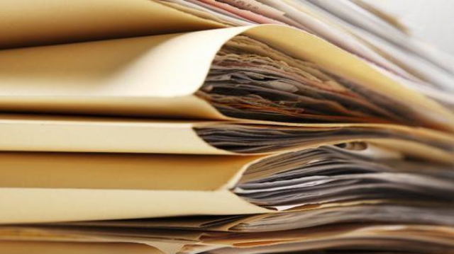 Document-falsification Document-falsification