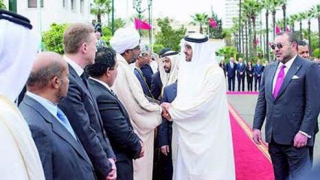 Mohammed VI-Bin Zayed14