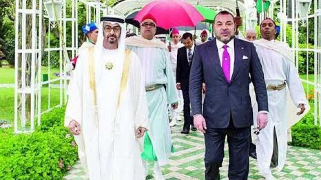 Mohammed VI-Bin Zayed17