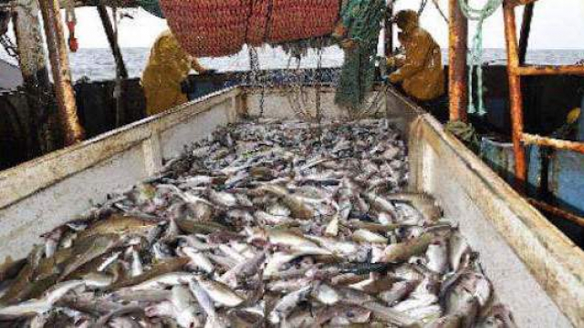 exportation poisson exportation poisson
