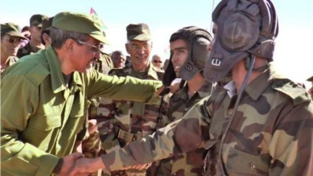 Mohamed Abdelaziz Mohamed Abdelaziz