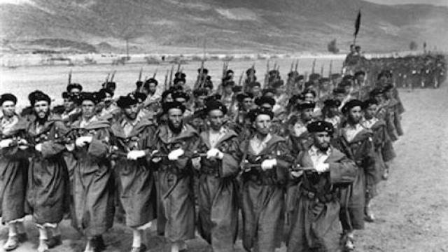 combattants combattants