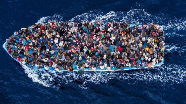 migrants migrants