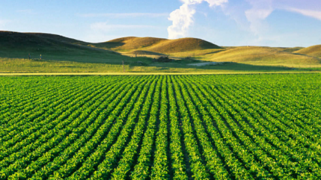 agriculture agriculture
