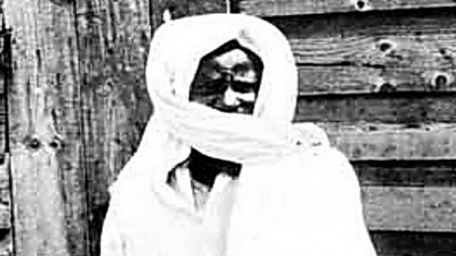 cheikh bamba cheikh bamba